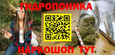гидропоника Партизанск