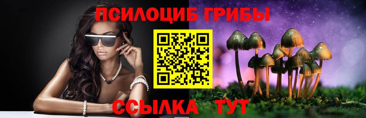 Галлюциногенные грибы GOLDEN TEACHER Серов